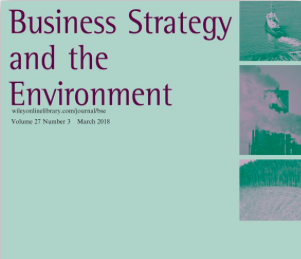 business_strategy_environment