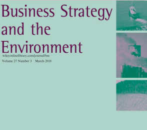 business_strategy_environment
